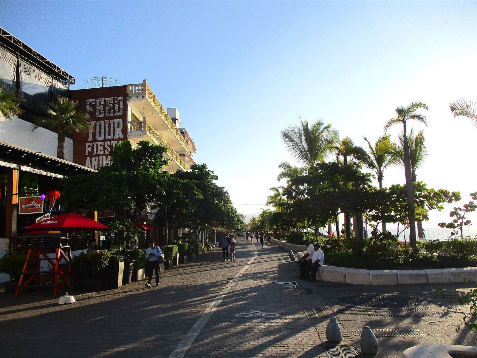 Puerto Vallarta · 36,9 km